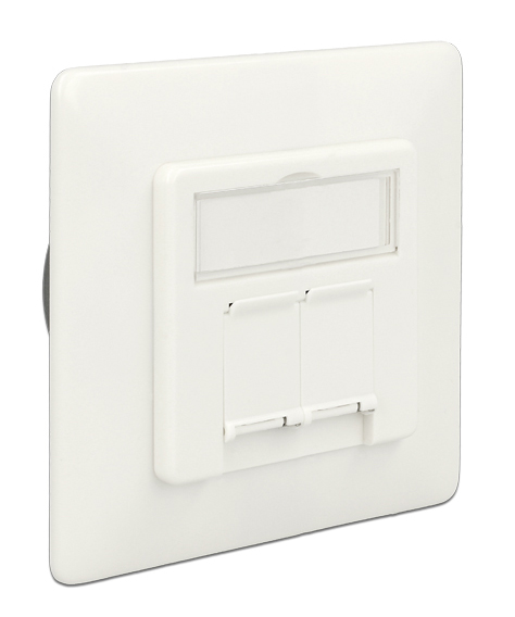 DELOCK Modular Wall Outlet Δικτύου, Cat.6A, 2x LSA, 2 Port 86195