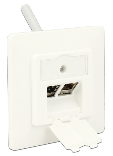 DELOCK Wall Outlet για Keystone 86219, 2 Port 86219