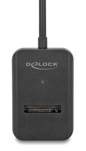 DELOCK  USB-C  M.2 NVMe PCIe/SATA SSD 64198, 10Gbps 64198