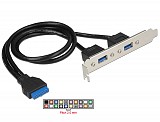 DELOCK Cable USB 3.0 2x Type-A female σε 19pin header female 84836