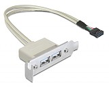 DELOCK κάρτα επέκτασης USB 9 pin σε 2x USB 2.0 83119, low profile 83119