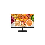 HIKVISION VA FHD Monitor 24'' 100Hz with speakers (HKVDS-D5024F2-1V2S)