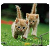 VIVANCO MOUSEPAD PETS 1