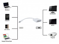 POWERTECH  USB Type-C  DVI PTH-036, 4K,  PTH-036