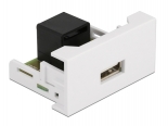 DELOCK module USB  RJ45 Easy 45 81344, 22.5x45mm,  81344