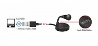 DELOCK USB μικρόφωνο 65868 με βάση και mute button 65868