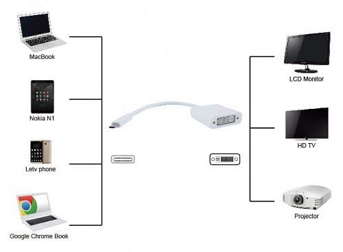 POWERTECH  USB Type-C  DVI PTH-036, 4K,  PTH-036