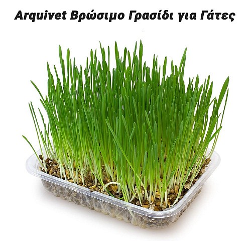 Arquivet     100gr 0924.026